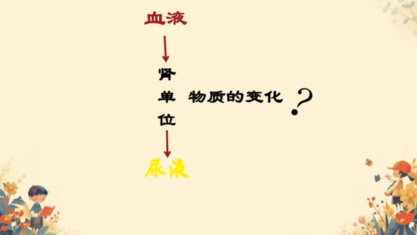初中生物学[期末专区]七年级下册第四章和第五章复习课件(共39张PPT)