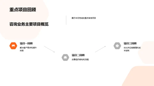 咨询业务月度总览