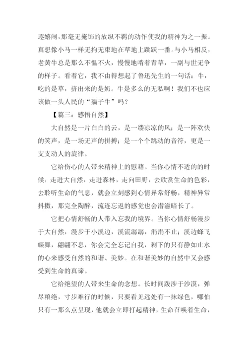 关于感悟自然的作文-1.docx