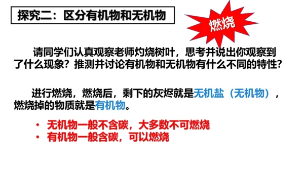 2.1.4细胞的生活课件2023--2024学年人教版生物七年级上册(共34张PPT)