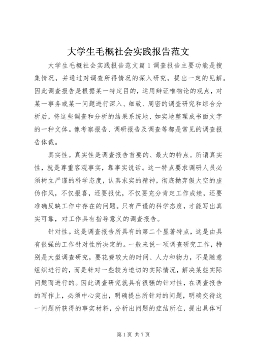 大学生毛概社会实践报告范文.docx