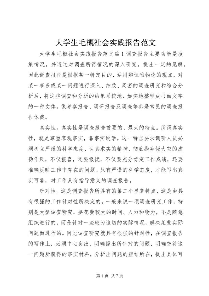 大学生毛概社会实践报告范文.docx