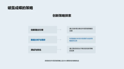 大寒营销策略报告