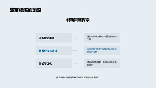 大寒营销策略报告