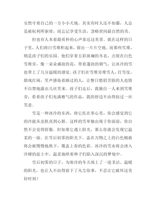 雪后初霁作文800字.docx