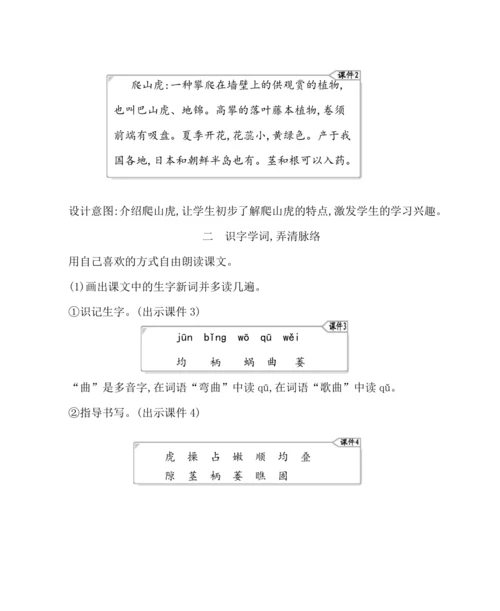 10爬山虎的脚  教案