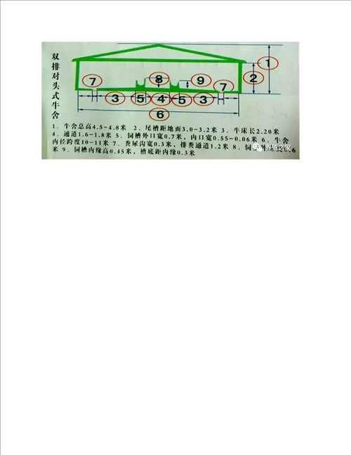 肉牛养殖场平面设计图，养牛场牛棚牛舍图纸