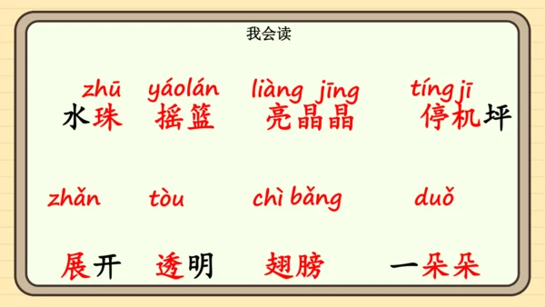 12 荷叶圆圆（课件）