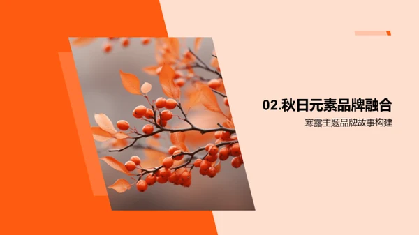 寒露文化营销策略