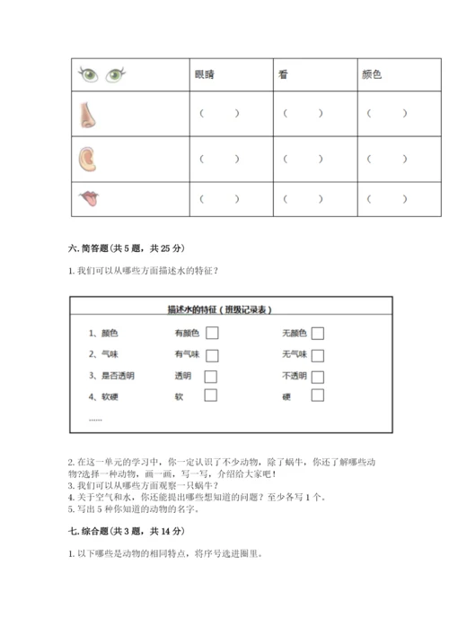 教科版小学科学一年级下册期末测试卷（突破训练）.docx