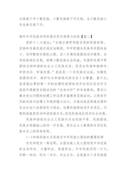 铸牢中华民族共同体意识党员感想与收获.docx