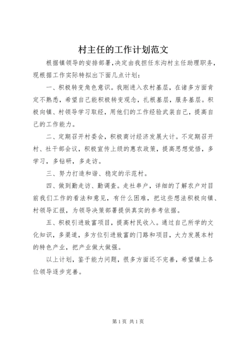 村主任的工作计划范文.docx