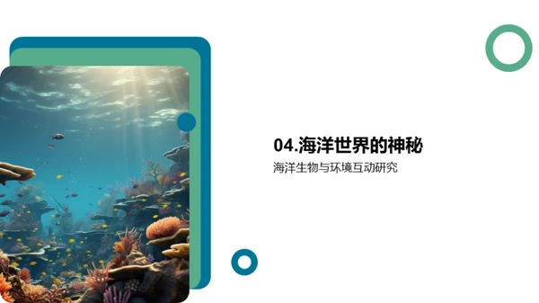 探秘海洋生物