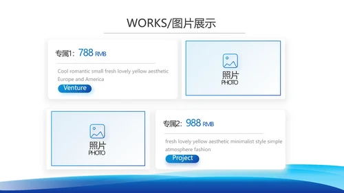 蓝色大气项目科技成果介绍工作总结PPT模板
