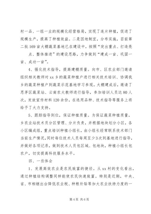 大棚蔬菜种植调研报告 (2).docx