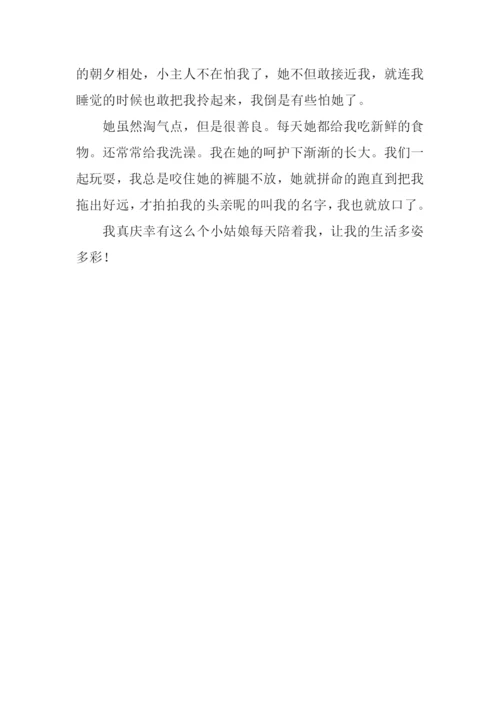 什么的自述作文-1.docx