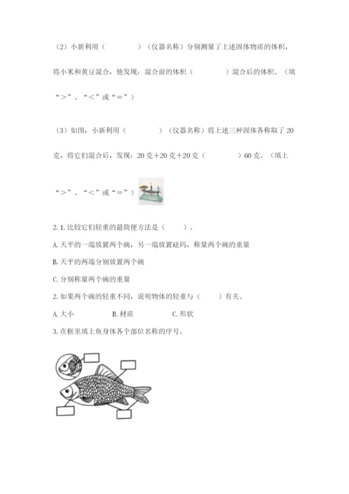 教科版小学科学一年级下册期末测试卷【模拟题】.docx