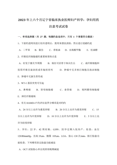 2023年上半年辽宁省临床执业医师妇产科学孕妇用药注意考试试卷.docx