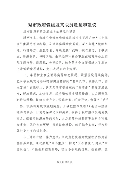 对市政府党组及其成员意见和建议.docx