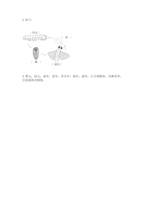 教科版科学三年级下册 期末测试卷含答案（精练）.docx