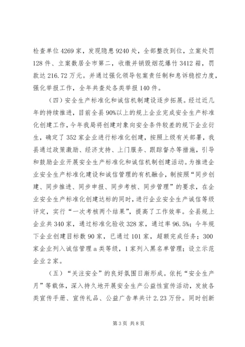 县安全生产监督管理局年度工作报告 (2).docx