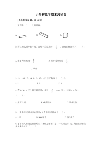 小升初数学期末测试卷及完整答案一套.docx