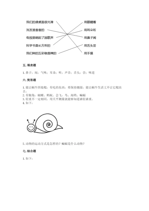 教科版小学科学一年级下册期末测试卷【全优】.docx