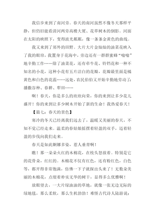 春天的景色作文350字-1.docx