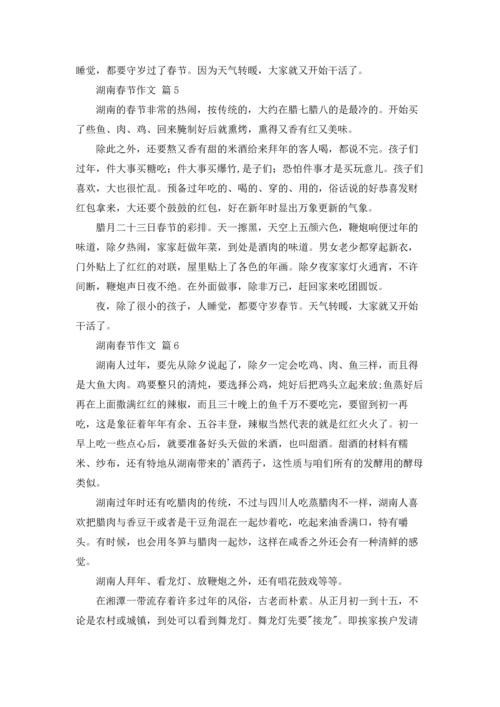 湖南春节作文锦集九篇.docx