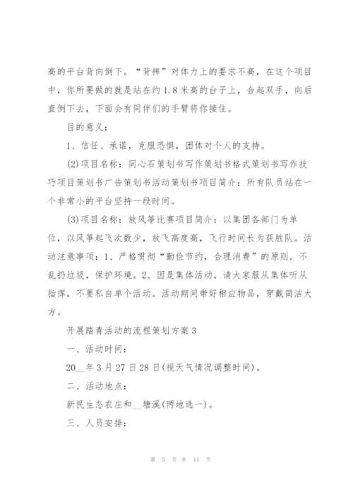 开展踏青活动的流程策划方案.docx