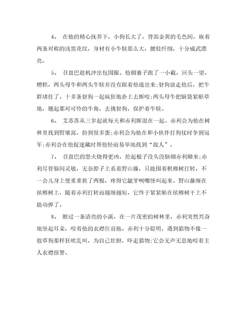 第七条猎狗好词好句摘抄
