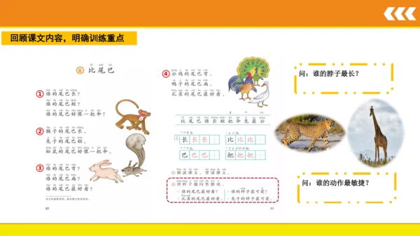 6 比尾巴  课件