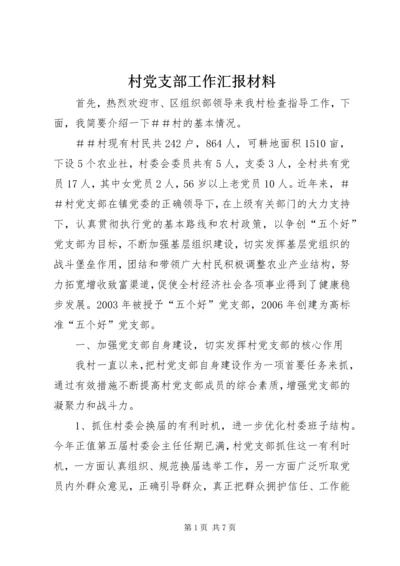 村党支部工作汇报材料.docx