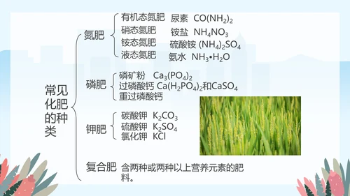 人教版九年级化学《化学肥料》PPT课件