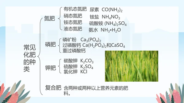 人教版九年级化学《化学肥料》PPT课件