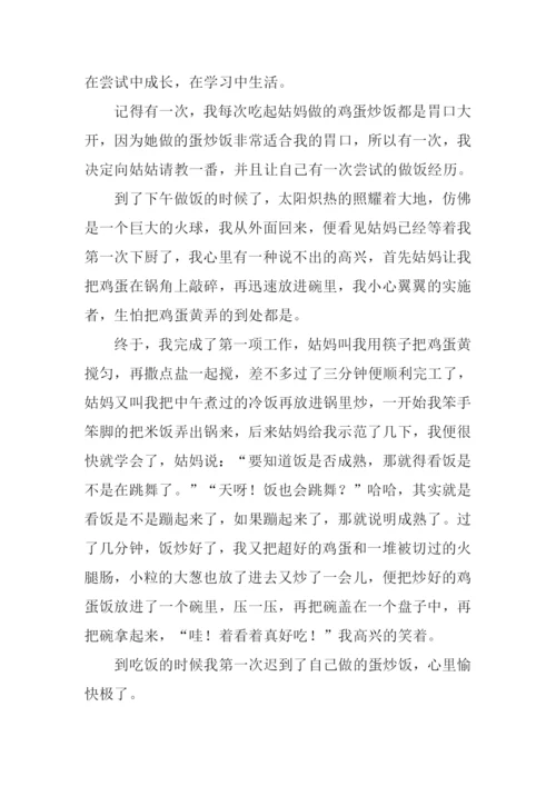 在尝试中成长作文500字.docx