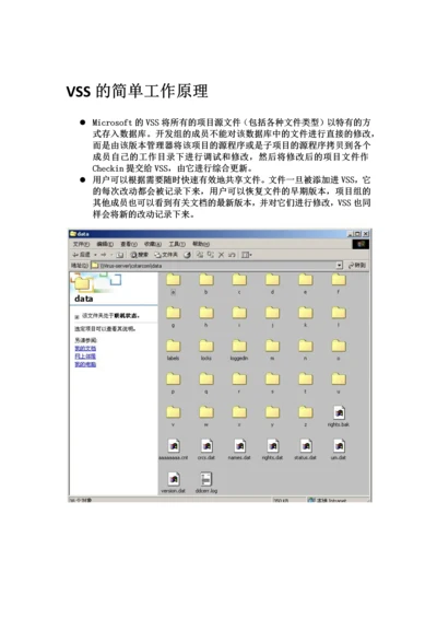 VSS2005客户端操作手册.docx