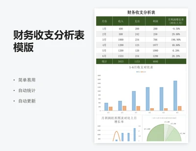 财务收支分析表模版