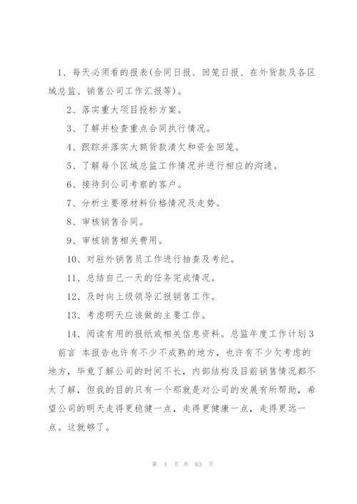 总监年度工作计划.docx