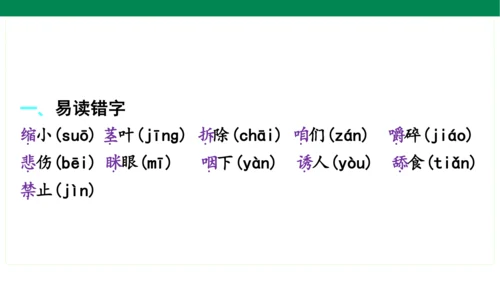 统编版语文三年级上册期中复习单元知识盘点  课件