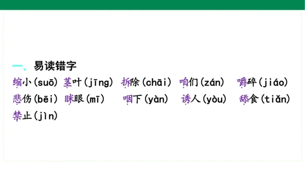 统编版语文三年级上册期中复习单元知识盘点  课件