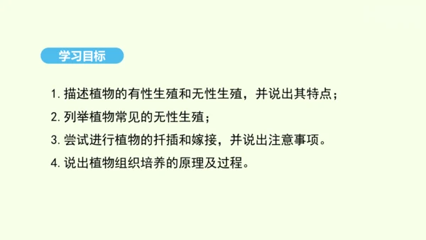7.1.1植物的生殖课件-人教版生物八年级下册(共33张PPT)