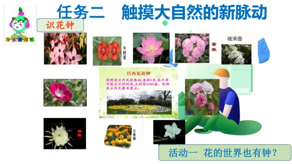统编版三年级语文下册第四单元大单元教学课件