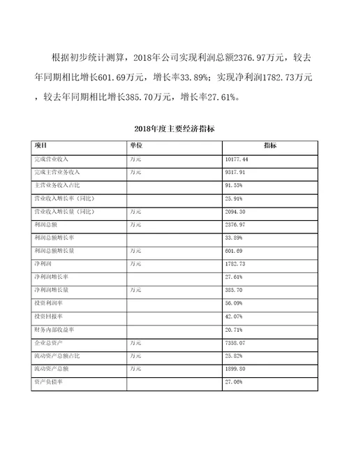 济南休闲食品项目总结报告