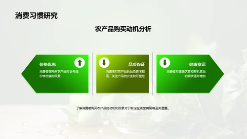 农产品网络营销策略