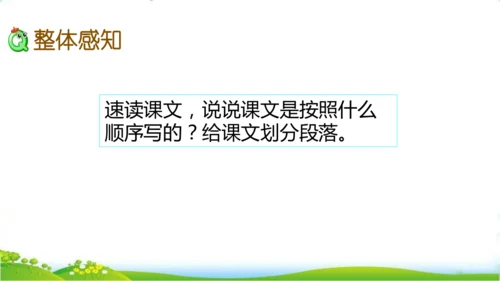 27 我的“长生果“   课件