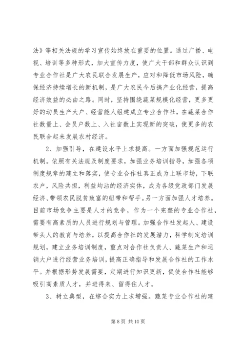 县蔬菜专业合作社调研报告.docx