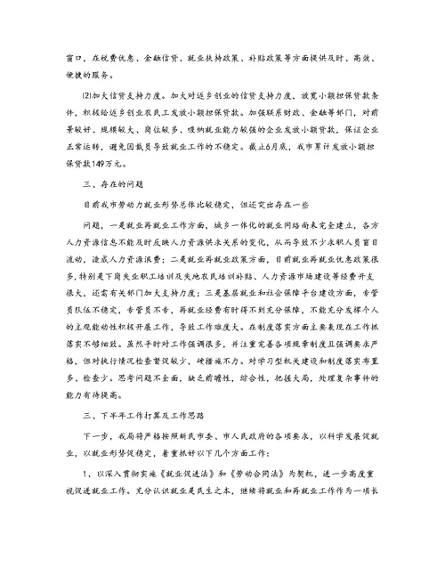 就业局09年上半年工作总结