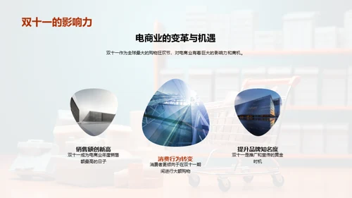 双十一营销全面解析