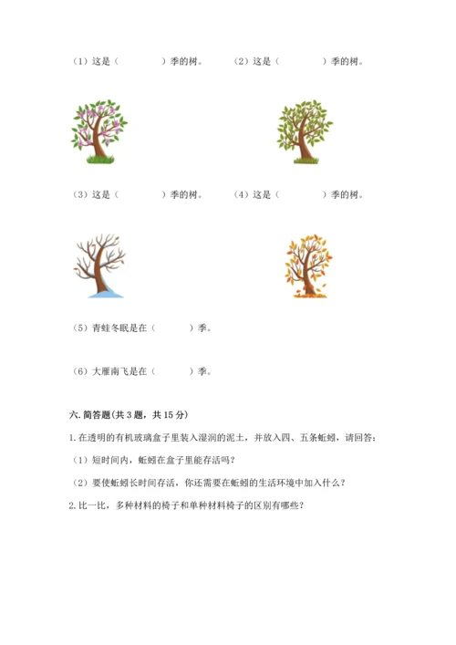 教科版二年级上册科学期末测试卷【中心小学】.docx
